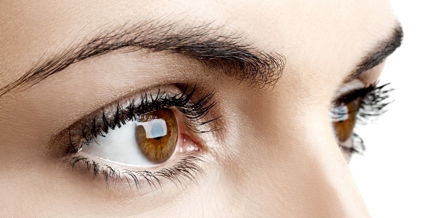lash and brow services near me